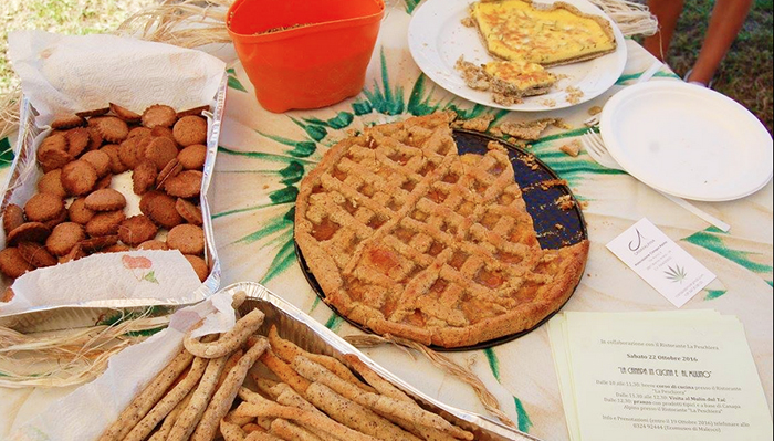 Da lunedì inizia la “Settimana della canapa”, corso di cucina ed attività nelle scuole