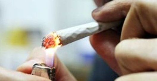 Gli studenti del Vco dicono sì alla “canna libera”