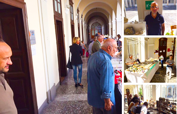Oltre 500 differenti esemplari alla 41esima “Giornata del minerale” domese. Video e fotogallery