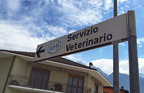 Veterinaria via dall'Ossola? Il M5S reagisce. “L'Asl illustri i dettagli dei tagli”