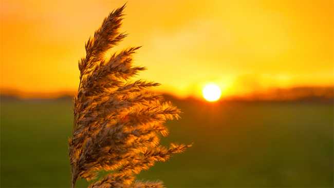 Meteo: temperature ancora in aumento e livello massimo per le ondate di calore