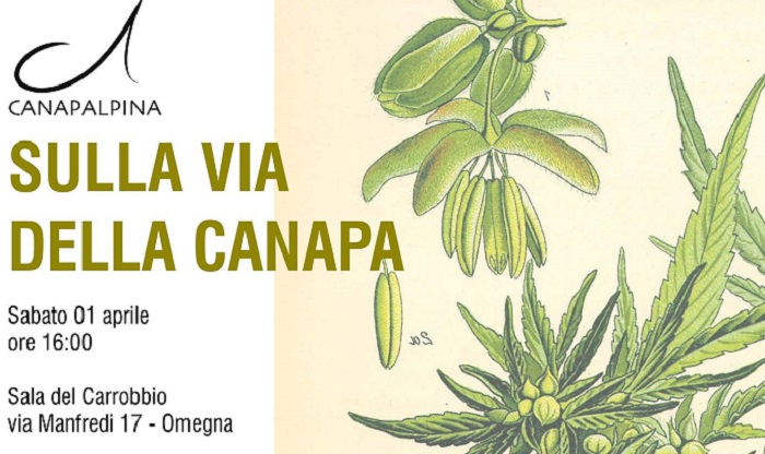 Alla Sala del Carrobbio l’associazione Canapalpina presenta “Sulle via della Canapa”