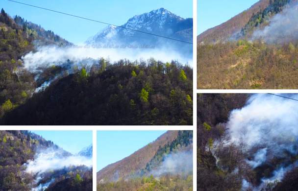 Incendio nei boschi sopra Calasca. Intervengono Vigili del fuoco ed Aib. Foto