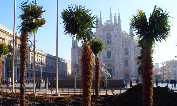 Nuovo editoriale di Max Polli: “Arcipelago Rosso” e le palme a Milano