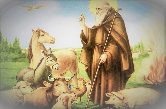 Festa di Sant’Antonio Abate a Gozzano: appuntamenti venerdì 20 e domenica 22 gennaio 