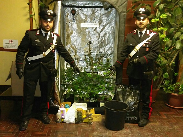 Positive le azioni di controllo condotte sul territorio dai Carabinieri del Vco