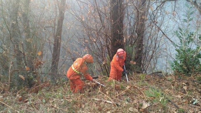 A fuoco i boschi di Trarego (foto)
