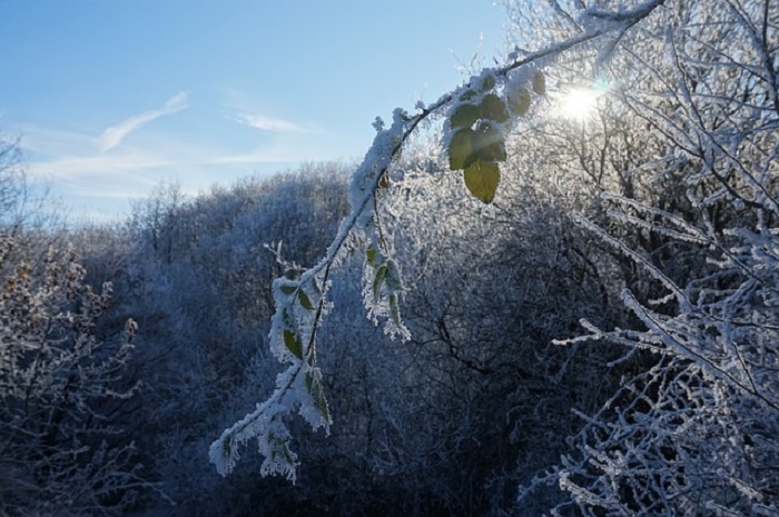 Allerta meteo nel Cusio: nevicate da stanotte e vento da domani