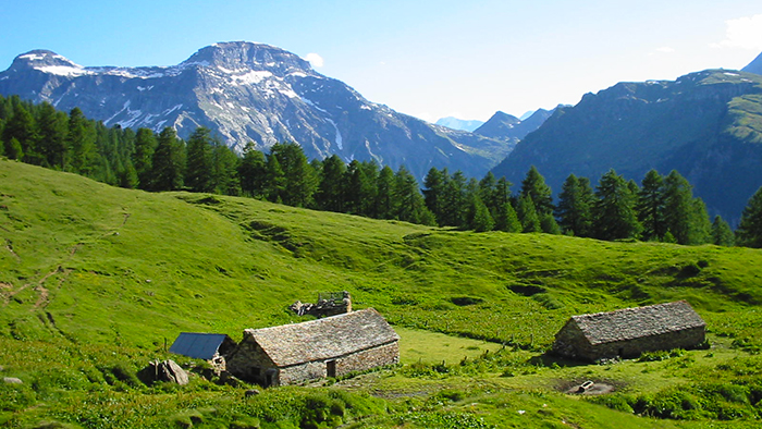 Futuro degli alpeggi: se ne parla al Devero