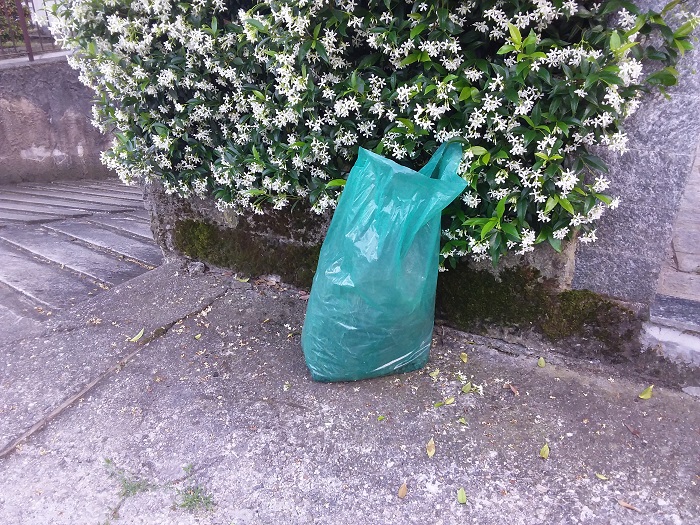 Dal 2018 cambia la raccolta del verde a Gravellona. Sui social esplode la polemica. Foto