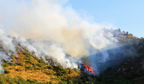 La Regione decreta lo stato di massima pericolosità per gli incendi boschivi