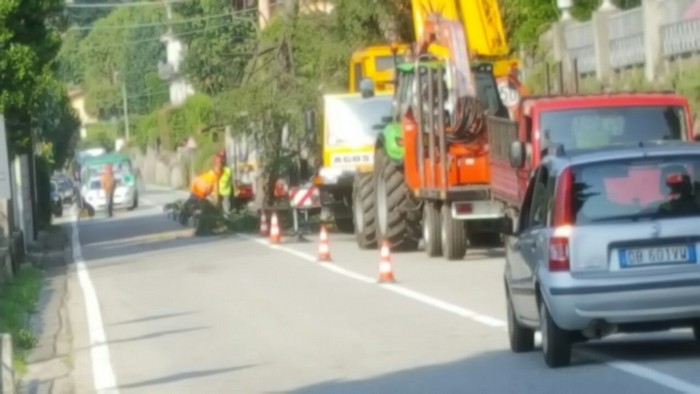 Taglio piante sulla statale: traffico a senso unico (foto)