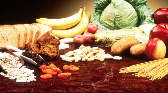 Parte il “Vegan Life Festival”, tre giorni di eventi