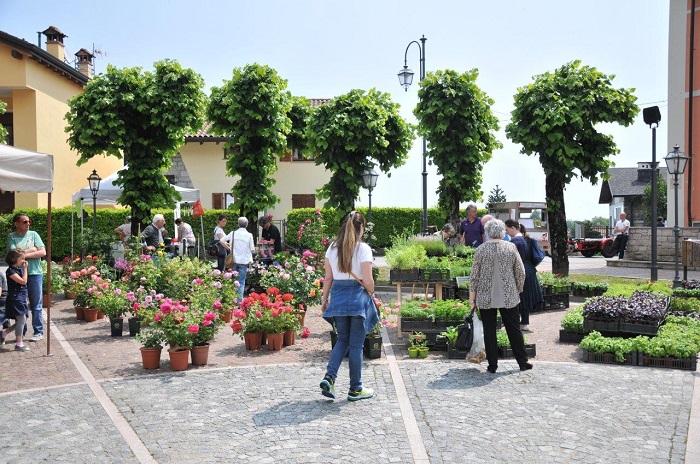 Tra il lago Maggiore e Orta “spunta” la terza edizione di Giardinidea, mostra atelier