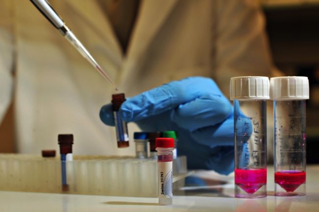Esame del Dna sui resti dell’escursionista morto nel 2014 sul Limidario
