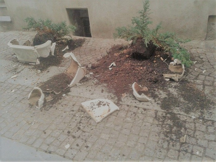 Ladri e vandali contro le fioriere cittadine a Borgomanero