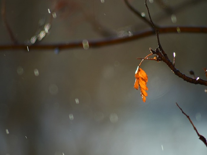 Allerta meteo con pioggia e vento. Neve a partire da 900 metri di altezza