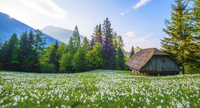 Bel tempo e clima mite nel week end, martedì inizia la primavera