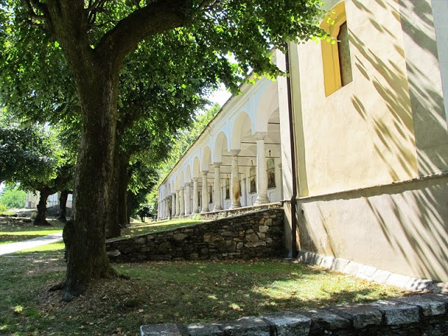 I tigli del Sacro monte sono pericolosi e vanno abbatuti