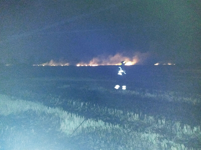Brutto incendio a sterpaglie e colture, alimentato dal forte vento