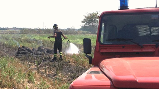 Cerano: vasto incendio distrugge rotoballe e sterpaglie