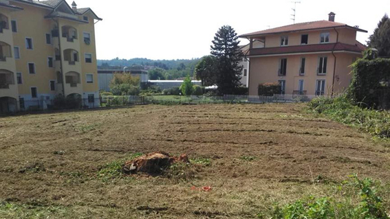 Volontari Aib hanno ripulito alcune aree incolte