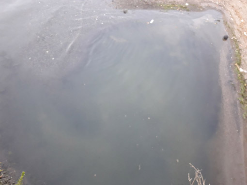 Emissioni nel lago in prossimità dello scolo fognario della zona dei giardini