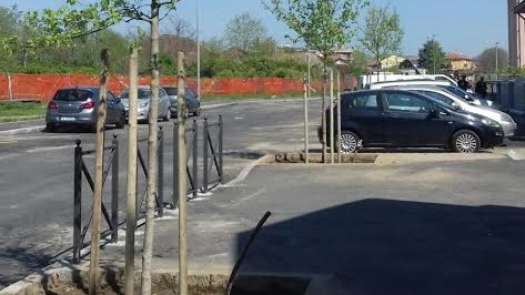 Nuove piantumazioni in via Bianchetti