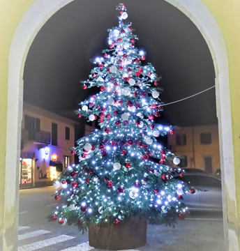 Marano Ticino: in piazza un albero di cinque metri e mezzo