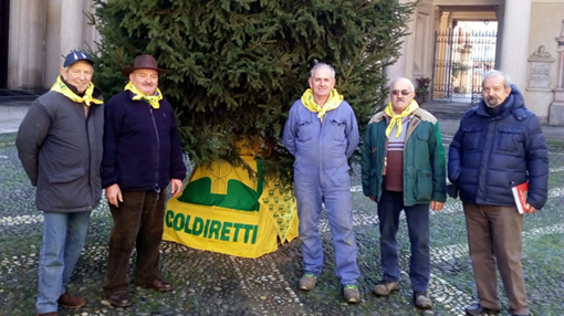 Albero di Natale dei Coldiretti senior davanti al Duomo