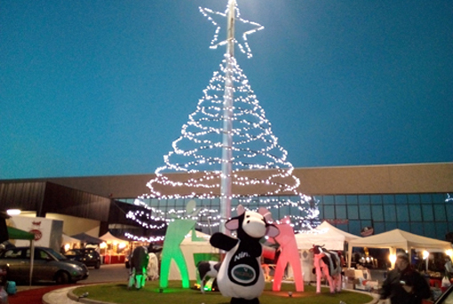 In tanti ai mercatini di Natale di Cavallirio