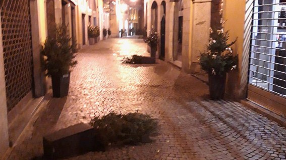 Alberelli natalizi gettati a terra nel corso