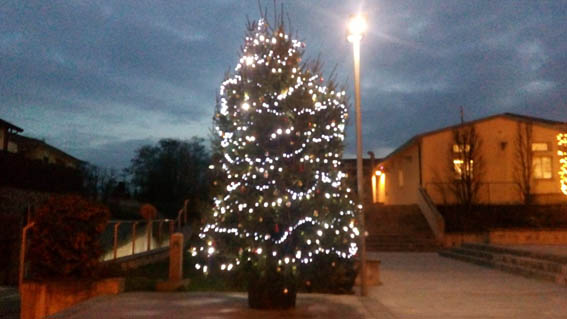 Pombia: acceso il grande albero di Natale