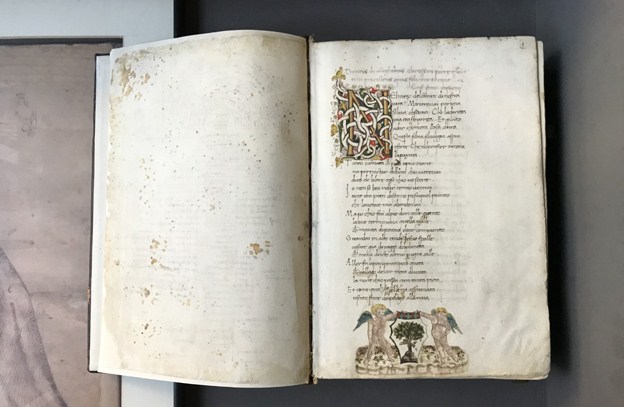 Sino al 24 febbraio la mostra "Colto e robusto ingegno"