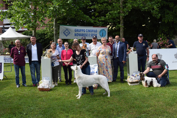 Bruce, pastore svizzero, ha vinto il trofeo cinofilo del Lions Club Borgomanero