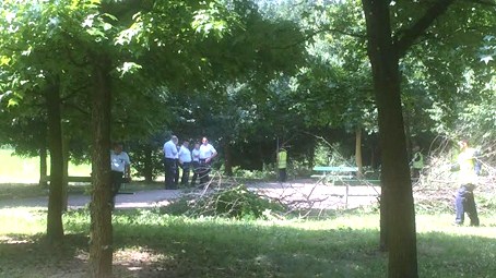 Concluso il lavoro di pulizia dei detenuti al giardino Giubertoni