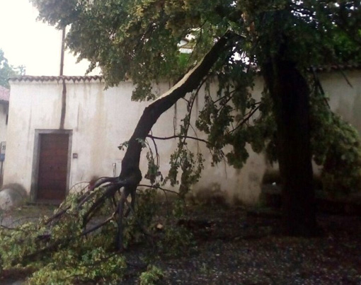 Varallo Pombia: rami caduti e allagamenti per il temporale. Foto