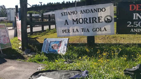 Sit-in animalista davanti a ditta di carni