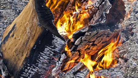 Campagna antincendi: vietato accendere fuochi sino al 30 settembre