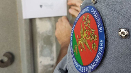 Cantiere sequestrato dai Carabinieri Forestale