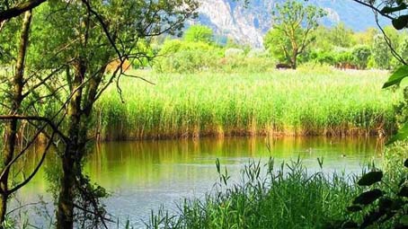 Unesco: ampliamento dell'area Mab alla riserva "Ticino-Val Grande-Verbano"