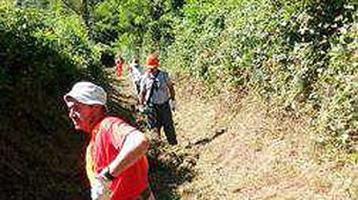 Alpini volontari di Protezione Civile hanno ripulito l'alveo del torrente Grua