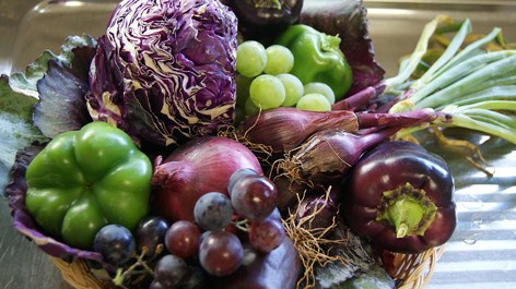 "Progetto LifeStyle" per la sana alimentazione da Nova Coop in collaborazione con l'Aou "Maggiore della Carità"