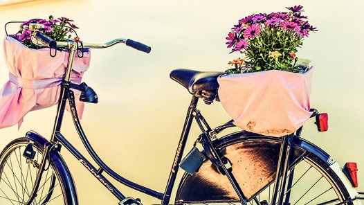 Domenica la "Biciclettata in fiore"