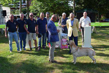 Il 2 giugno l'esposizione regionale canina