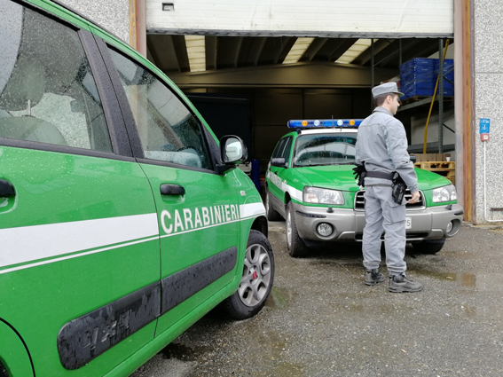 Lavoratori in nero e illeciti ambientali: attività sospesa e due denunce