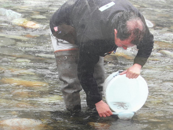 Rilasciati quindicimila avannotti di trota marmorata nel lago