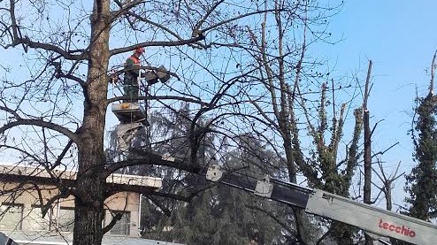 Centro di piazza Donatello: corso di potature e "Progettare nei quartieri"