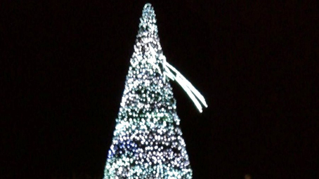 Il 24 novembre l'accensione dell'albero di Natale e delle luminarie in città