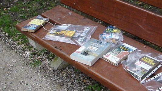 Bookcrossing, uno degli ultimi eventi di "Scrittori&Giovani"